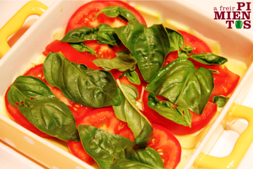 Lasaña de calabación y queso de cabra - Tomate y albahaca