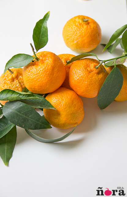 Mermelada de mandarinas-2