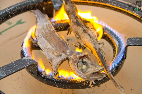 Capellán a la llama